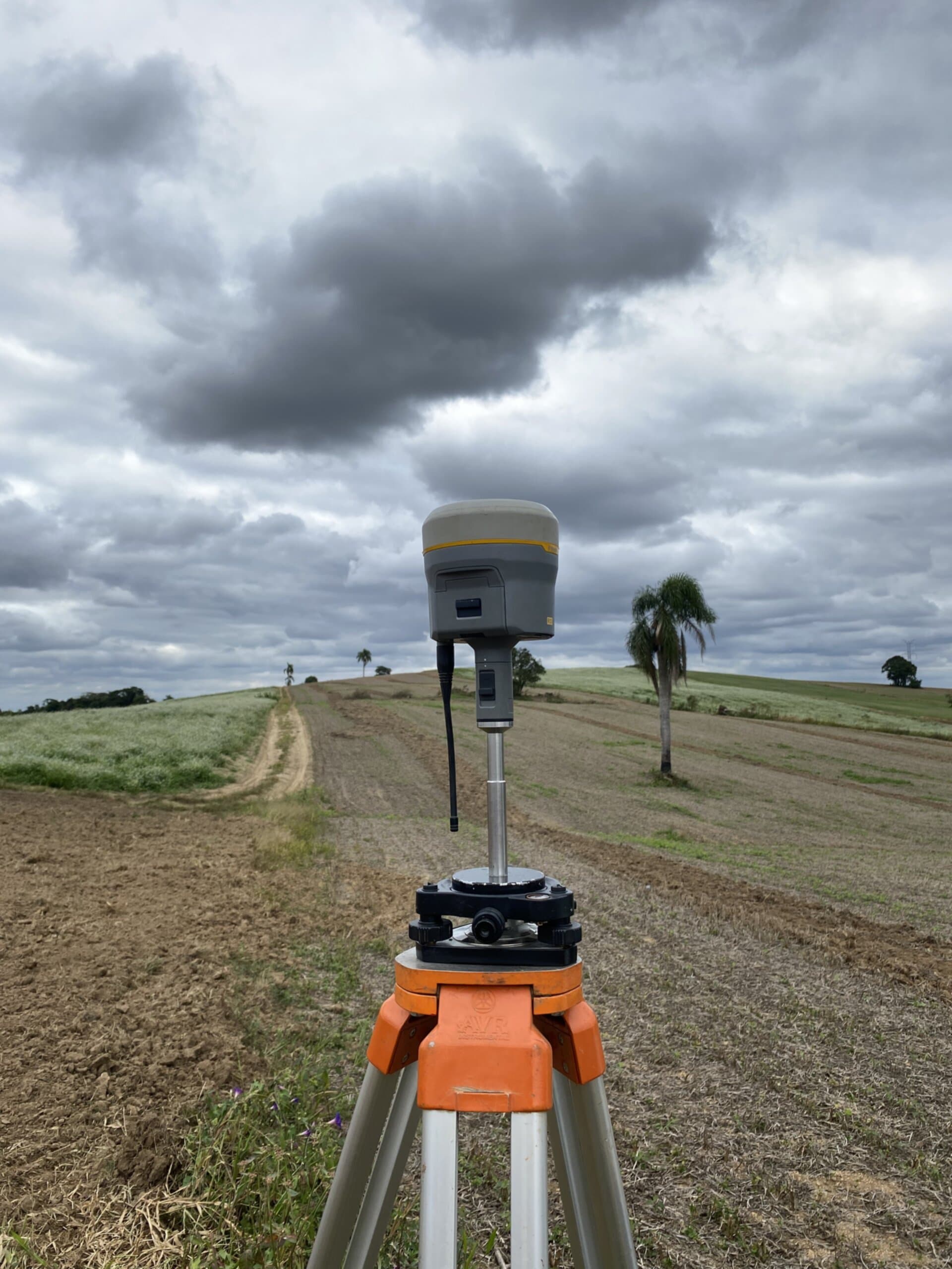Área em processo de reflorestamento
