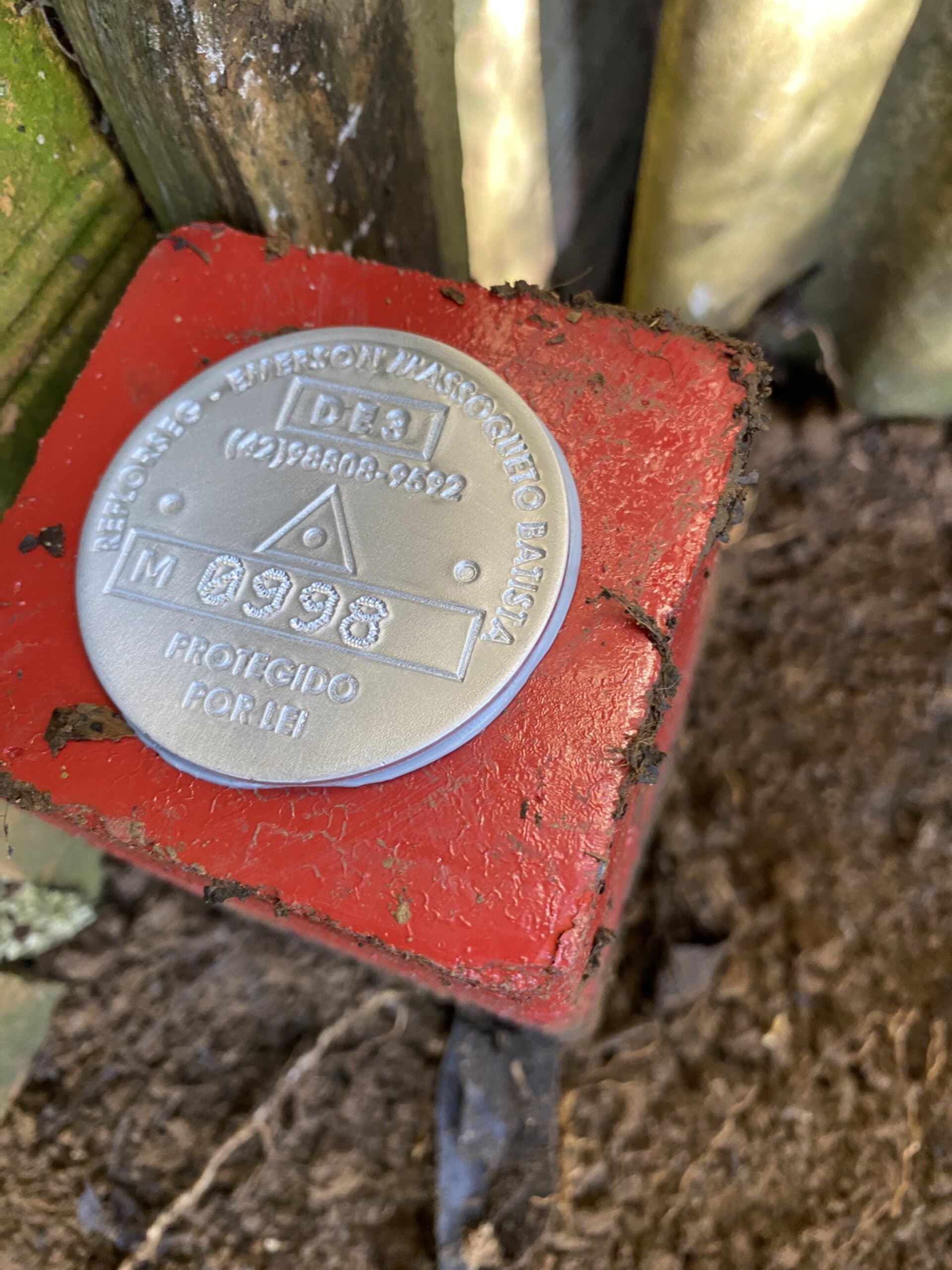 Plantio de mudas nativas para recuperação ambiental