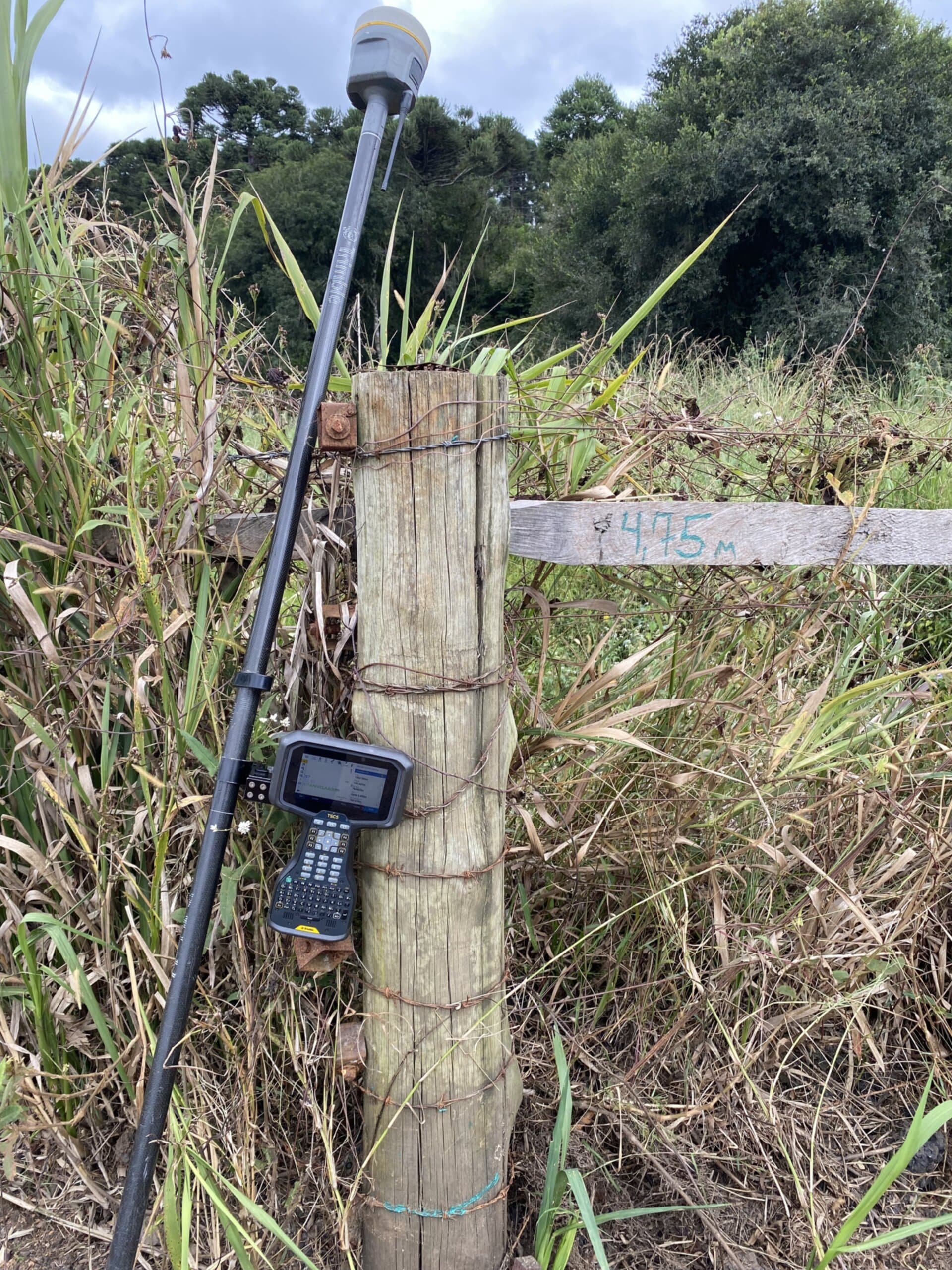 Área de preservação permanente com vegetação nativa
