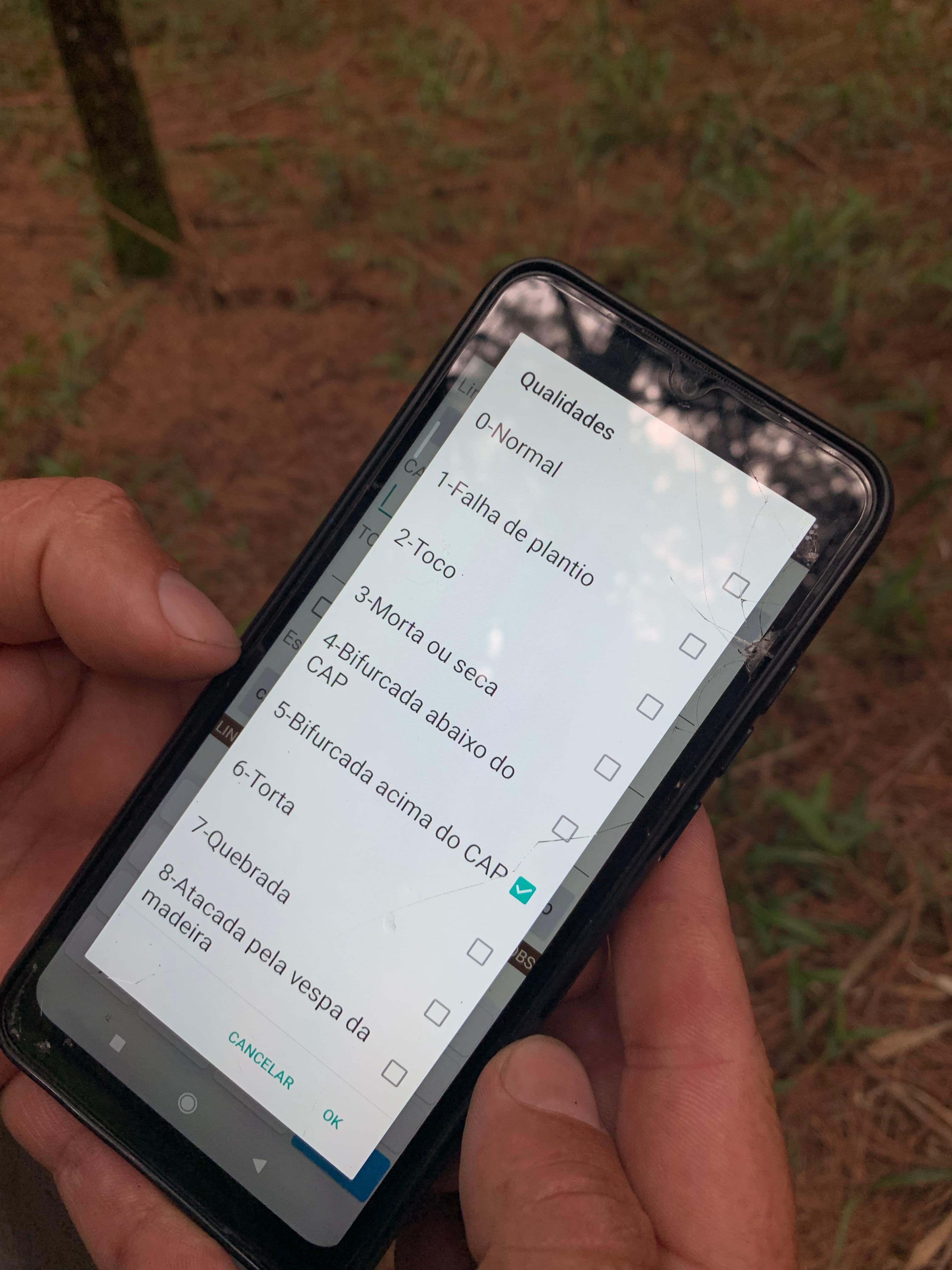 Inventário florestal de espécies nativas - Imagem 2