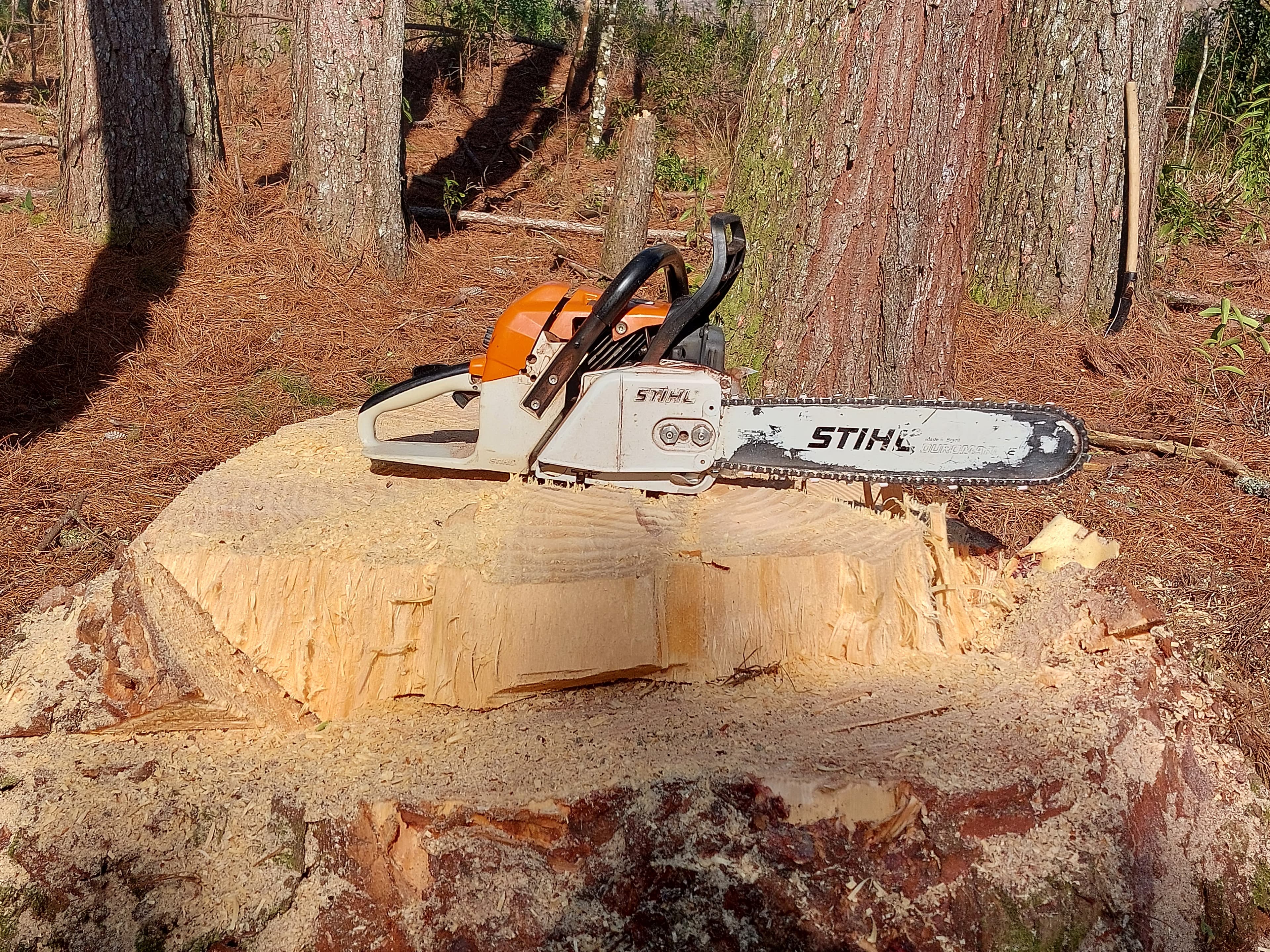 Operação e manutenção de motosserra - Imagem 4