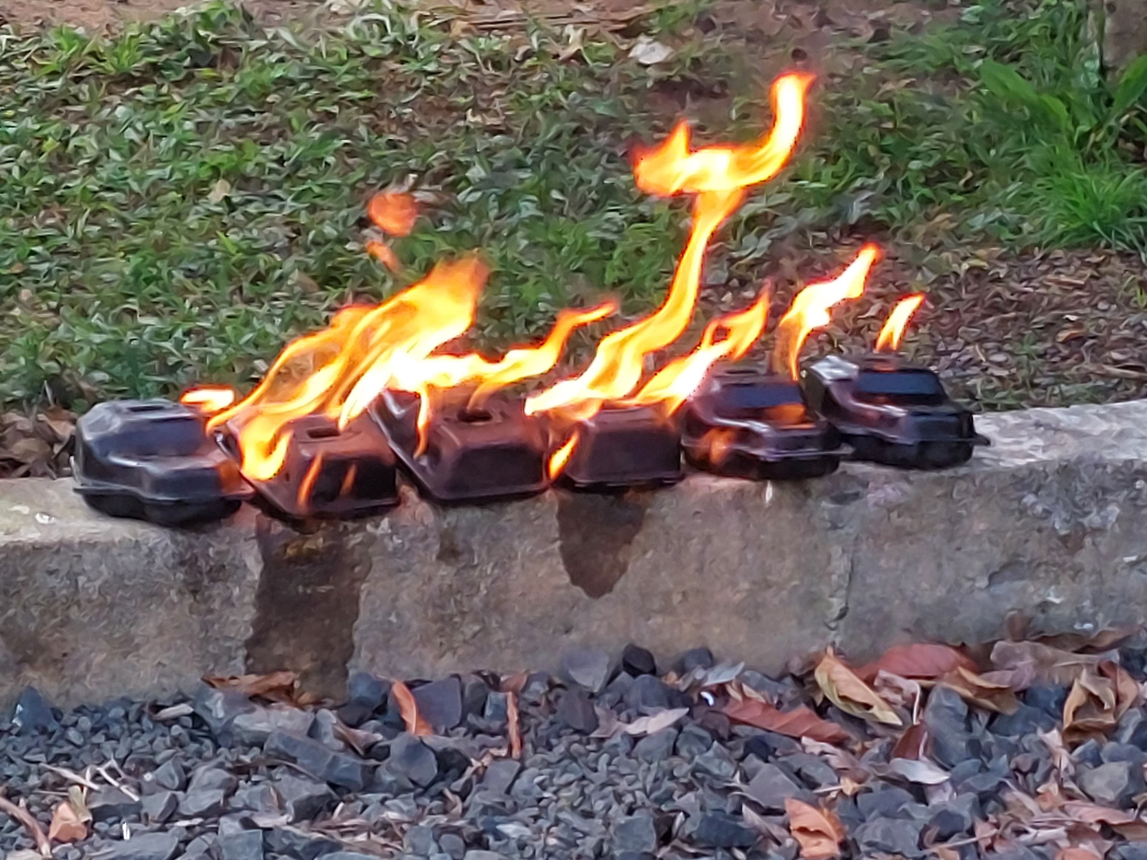 Prevenção e combate aos incêndios florestais - Imagem 3