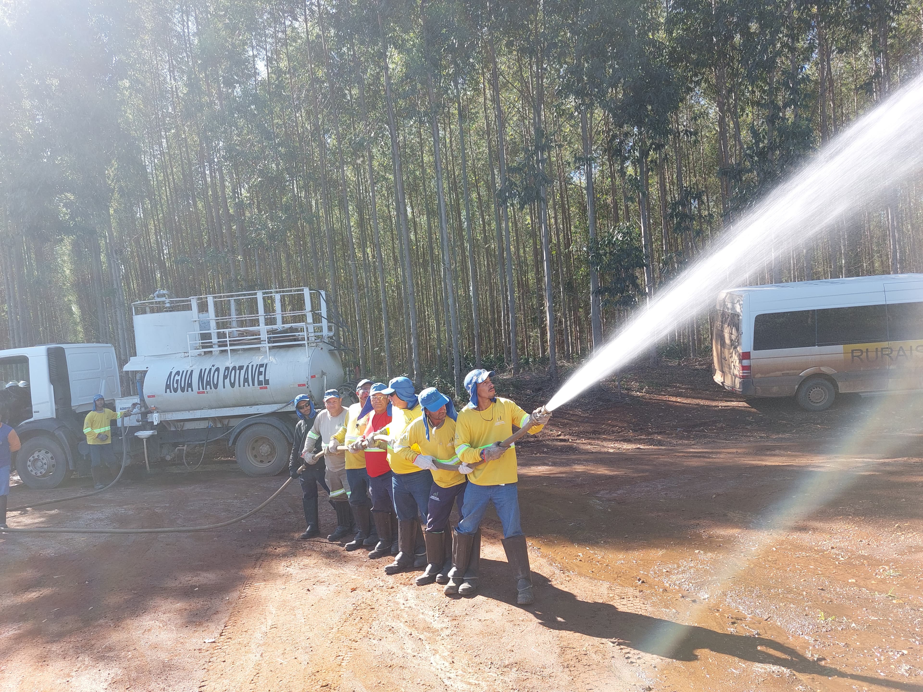 Prevenção e combate aos incêndios florestais - Imagem 9