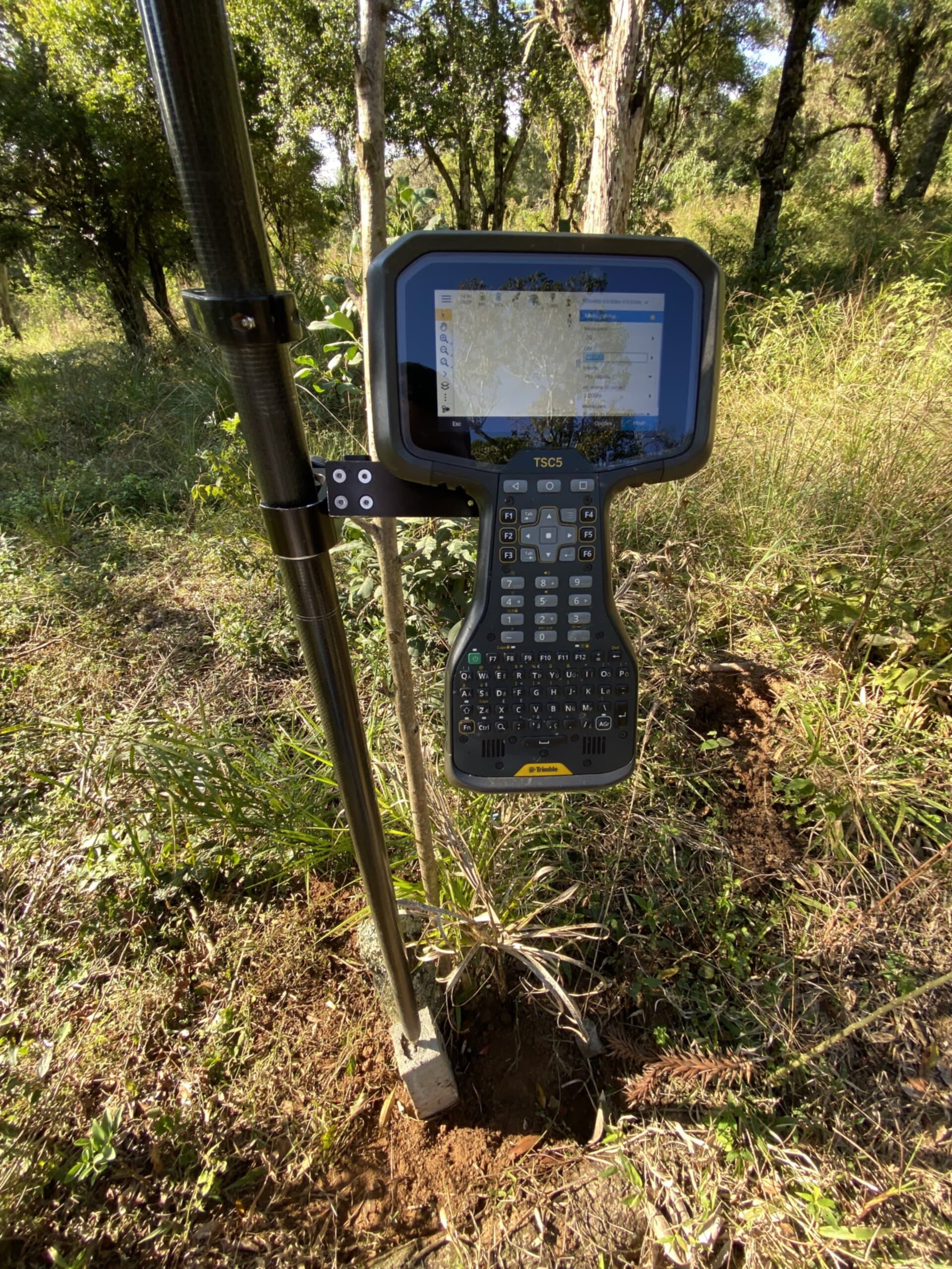 Projeto de recuperação de área degradada - PRAD