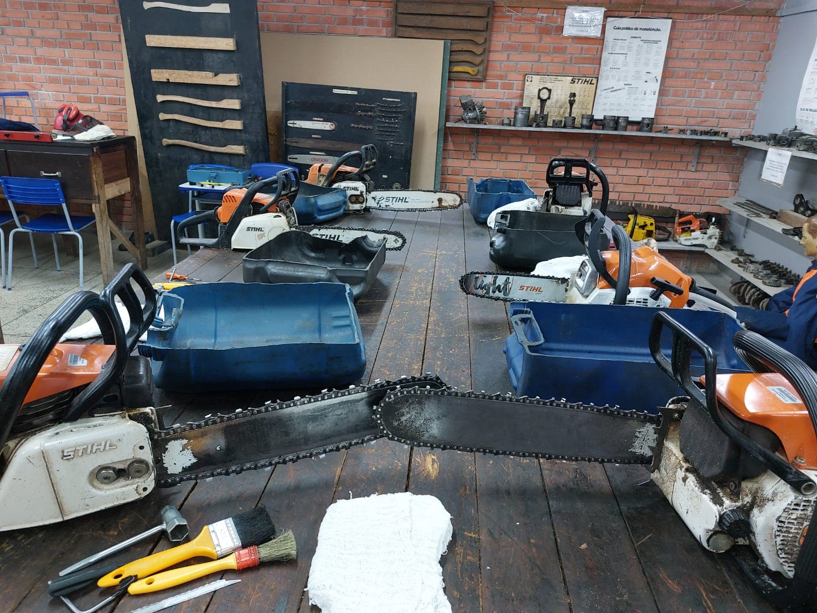 Treinamento de motosserra - Imagem adicional